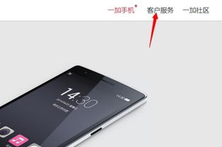 一加手机官网IMEI查询界面截图
