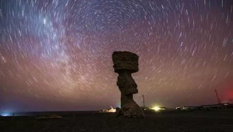 吴京站在沙漠中仰望星空