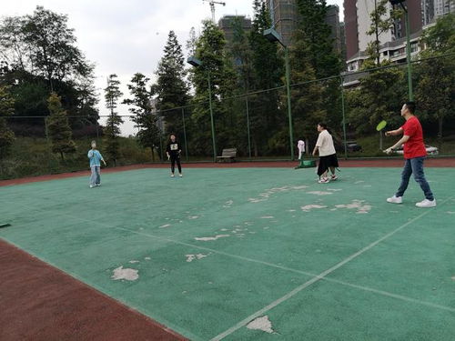 父子在球场上互动