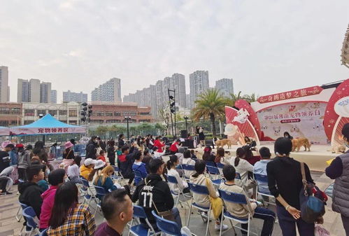 户外活动现场人潮涌动