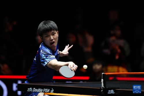 王楚钦在WTT福冈总决赛上庆祝胜利