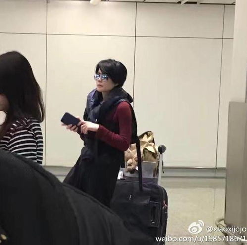 王菲与谢霆锋机场亲吻瞬间曝光