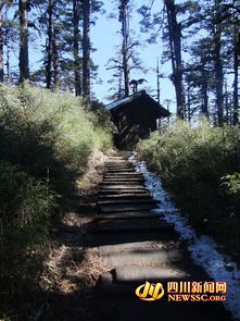 《五一山居记：坐观云卷云舒》——一场心灵的栖息之旅