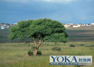 南非约翰内斯堡城市风光