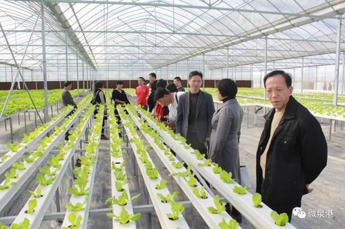 农业科技园区内农民学习使用新型农机设备