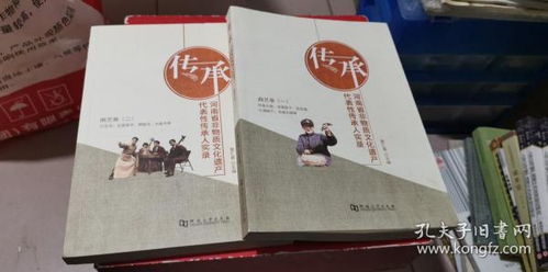 河南传统法律文化电子图谱界面展示