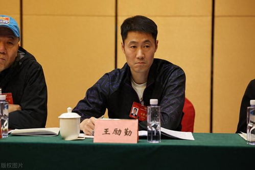 国乒教练王励勤接受采访