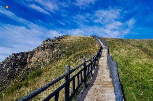 最多日涌入两千人！北灵山的野韭菜快被“薅秃了”