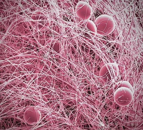 从我出发：守护肠道健康，原来每天都在“肠”跑