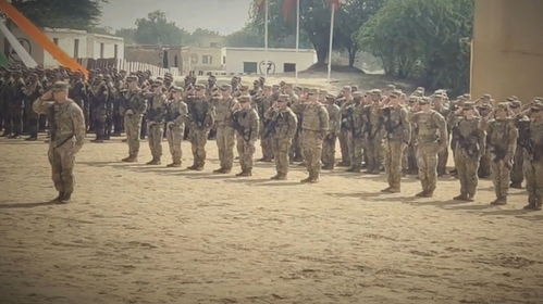 印度军方举行联合演习