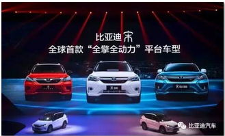 比亚迪车主担忧售后问题