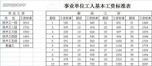 事业单位工资调整示意图