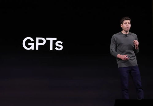 山姆奥特曼在会议中发言