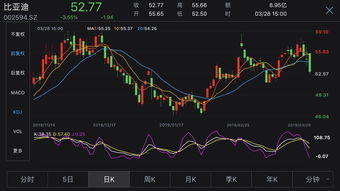 比亚迪会是下一个恒大吗？深度解析这家新能源巨头的未来走向