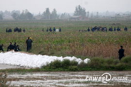 事故现场警戒线和救援人员工作场景