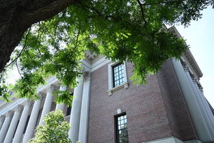 HARVARD校园俯瞰图