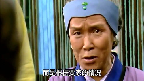 刘姥姥在大观园中行走