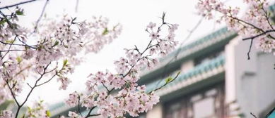 初恋女友在武大读博时患癌去世，湖北小伙领奖台上讲述爱情故事感动全网