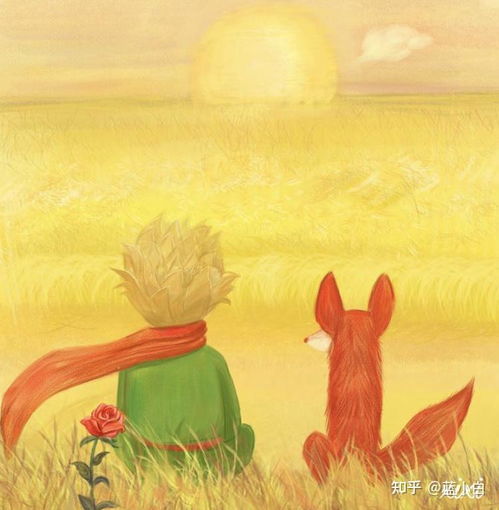 狐狸与小王子面对面坐着