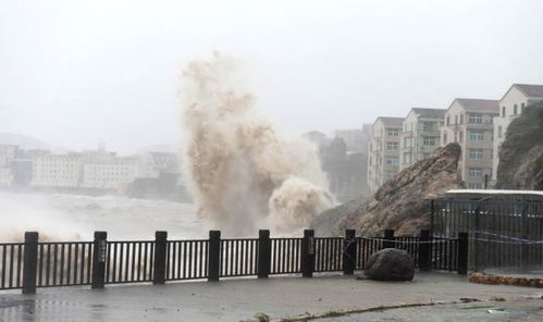 台风过后街道积水严重