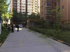 成都女子家门口遇害案即将开庭：母亲发声，凶手方从未道歉