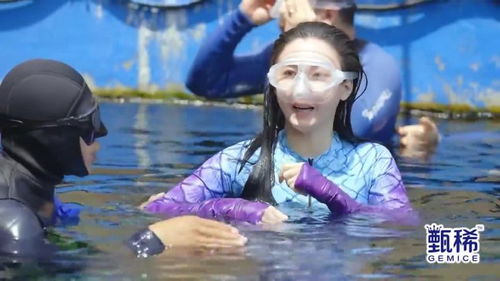 美人鱼在水中与鱼群共舞的表演