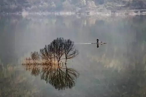 一个人安静思考的场景