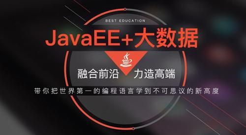 从零开始学 Java 数组：我的学习经历与实战心得