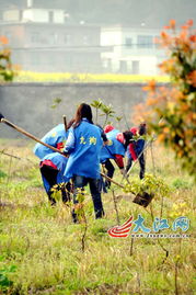 普京回忆童年往事：和父母一起种土豆，那段朴素却温暖的岁月