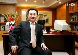 王健林在商场巡视