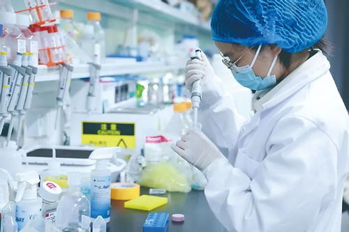 中国AI研究人员在实验室工作