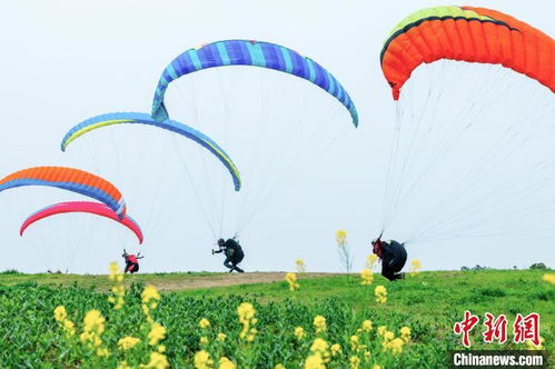 滑翔伞爱好者在空中挣扎的画面