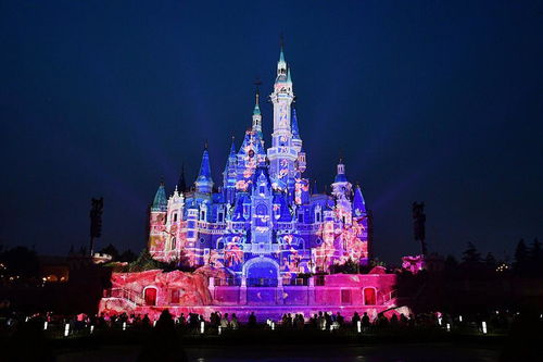 上海迪士尼乐园夜景灯光秀