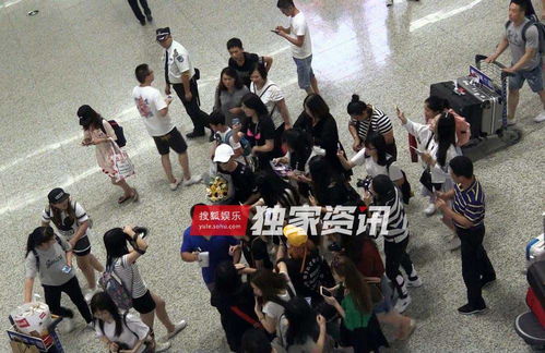 美团闪购樊振东事件全网热议 粉丝狂热与公众人物边界再引思考