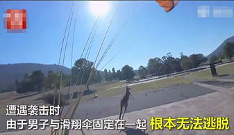 滑翔伞男子安全落地瞬间