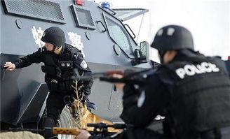 特警使用网枪捕捉野猪的演练现场图片