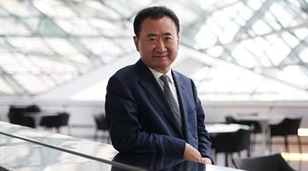 王健林低头沉思