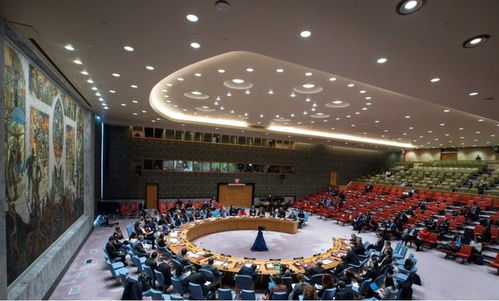 联合国安理会召开闭门会议