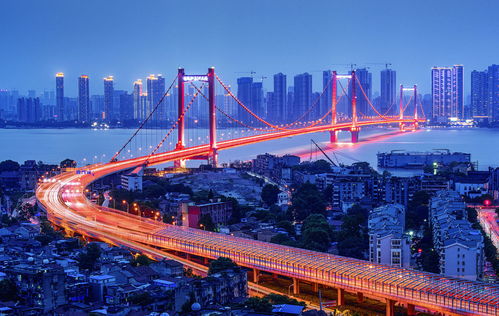 武汉这座网红大桥桥下为何被圈地收费？网友炸锅了！