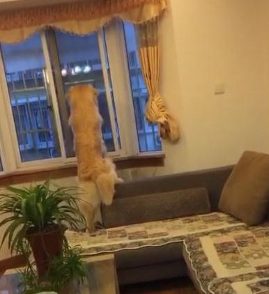 《无尽的尽头》：既是无尽又何有尽头？我看完后彻夜难眠