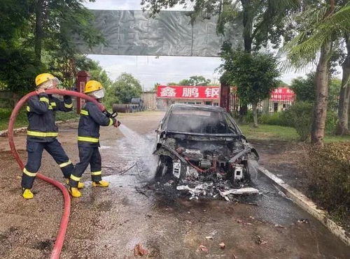 新国标明年执行，电池必须“刀枪不入”？我查了10份报告后有话说