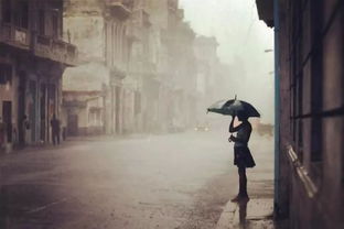 《红楼梦》最狠真相：晴雯人生最后的喊娘、刘姥姥为女忍辱、凤姐为巧姐操碎心，原来这世界最爱你的人，她的名字永远叫“母亲”!