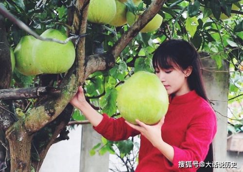 李子柒正在认真制作传统漆器