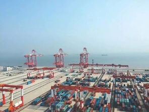 中国参与海外港口建设现场照片