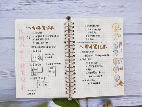 红霞手写的读书笔记特写