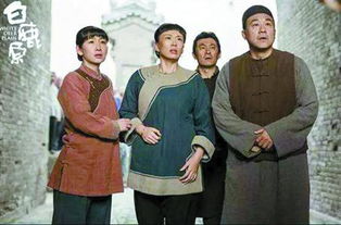 电视剧白鹿原剧照