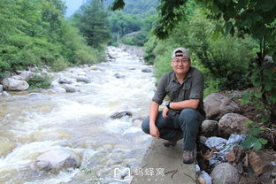 背包客在丛林中行走