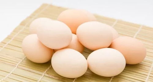 无菌蛋与普通蛋对比