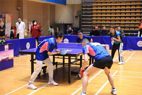 激动的乒乓球球迷