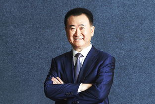 王健林在会议中神情凝重